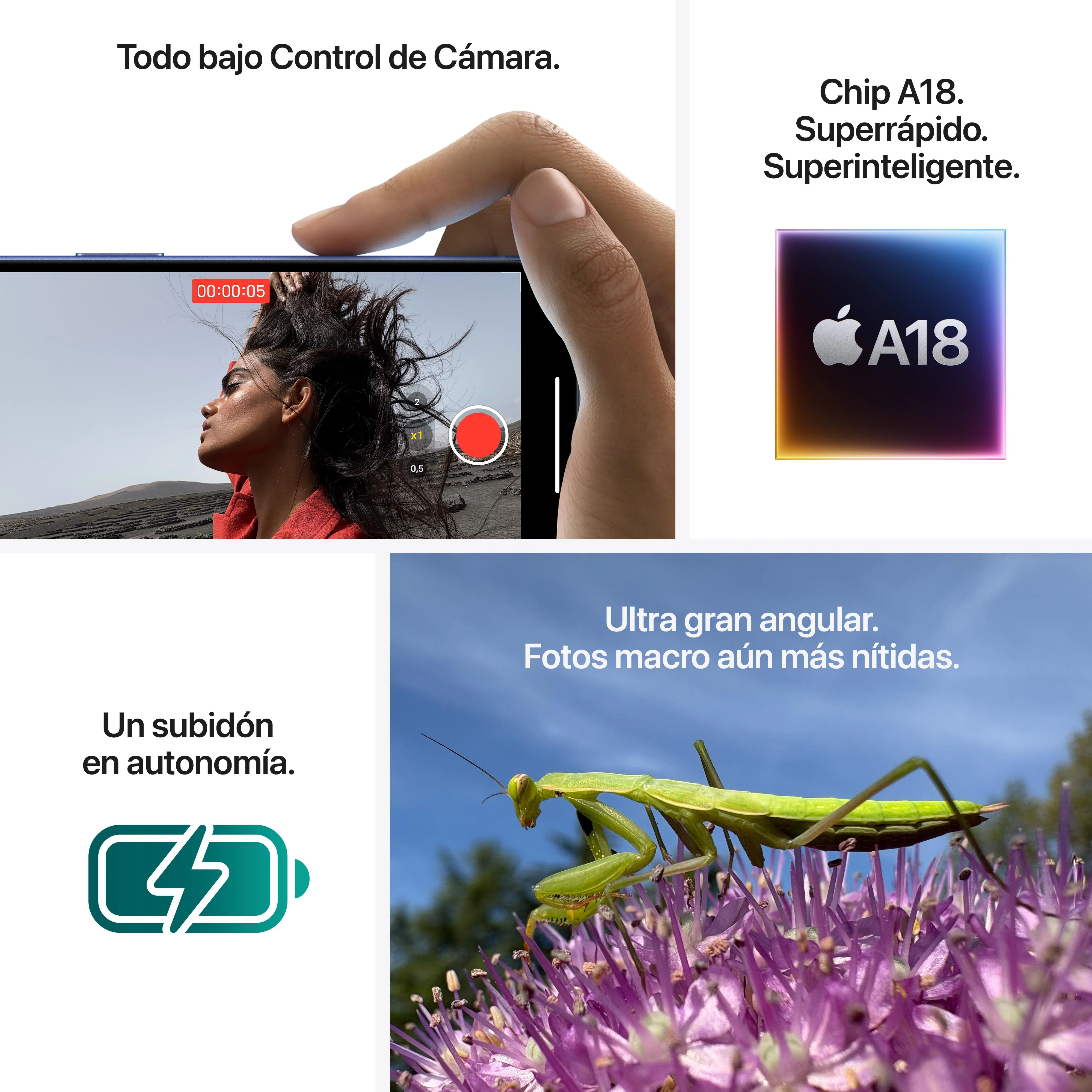 Imagen del producto 8