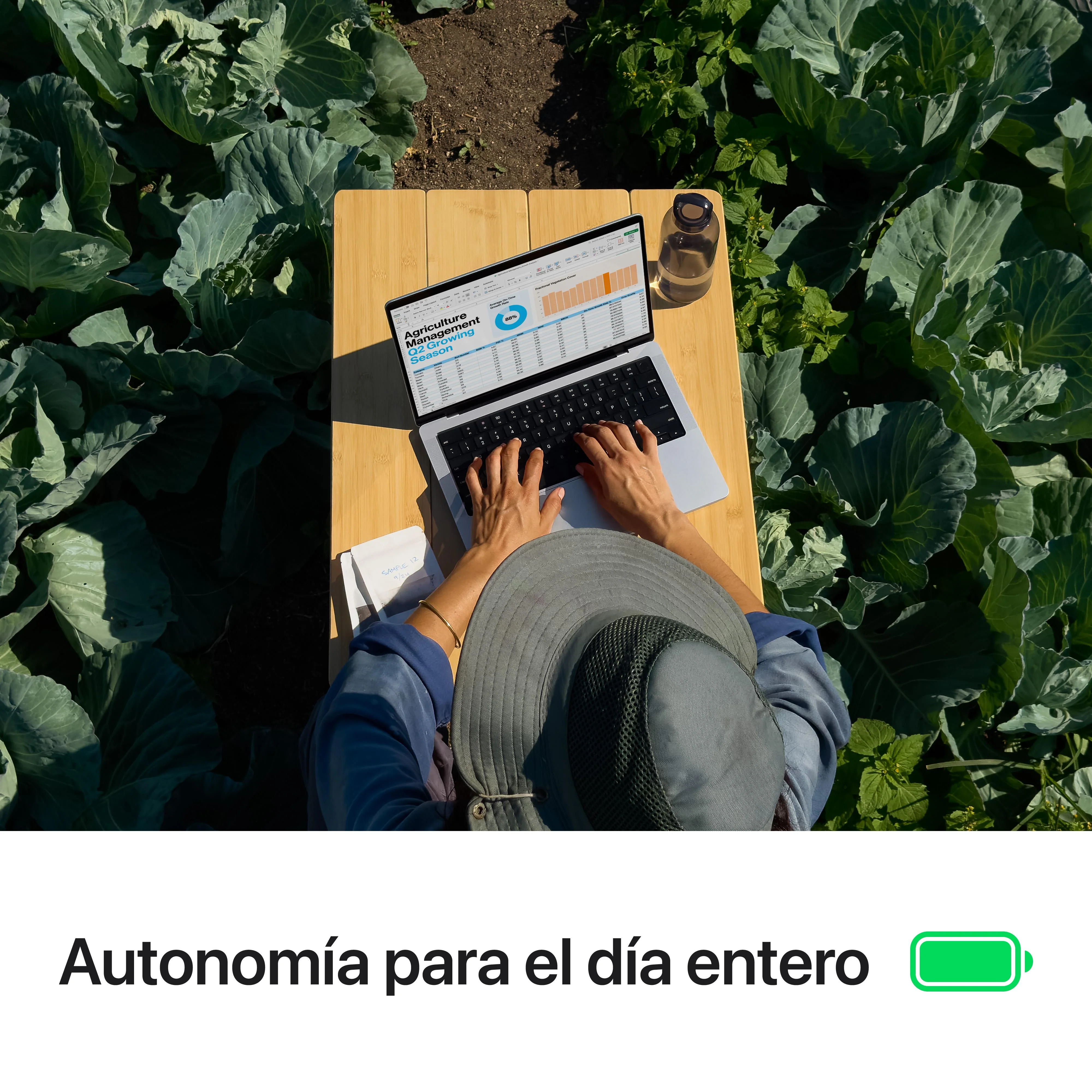 Imagen del producto 5